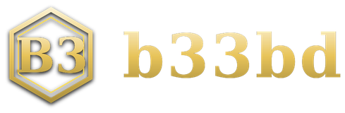 b33bd logo